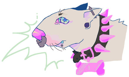 gift cuz i loveee bull terrier